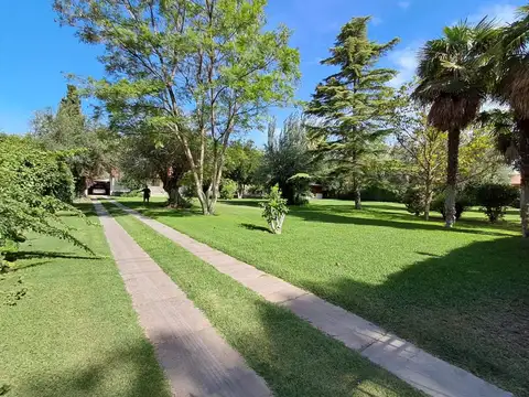 Profesor Mathus 2200