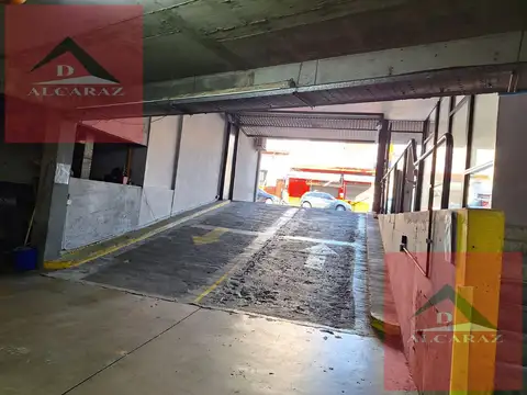Mario Bravo 800