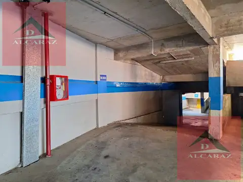 Mario Bravo 800