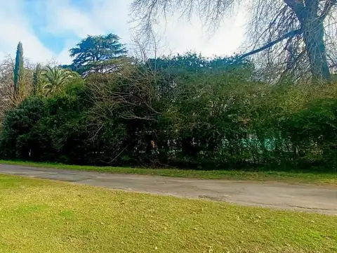 Julian Martel al 1100