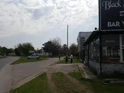 LOCAL EN MORENO COLECTORA ACCESO OESTE KM 33.300