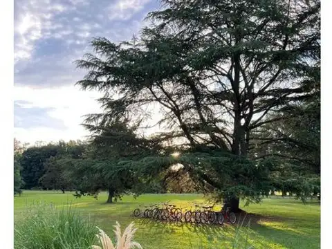 Terreno en Venta 40,01  mts Fondo