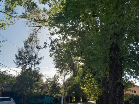 ROBLES DEL MONARCA - PILAR - CASA QUINTA - 1800 M2 - HERMOSO PARQUE - PILETA DE NATACION.