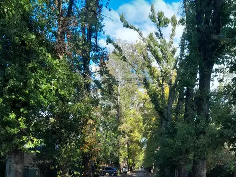 Casa en Venta en Los Robles del Monarca, USD 140.000