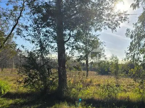 Terreno Lote  en Venta en Benavidez, Tigre, G.B.A. Zona Norte