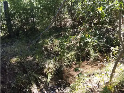 Terreno en Venta 40  mts Frente