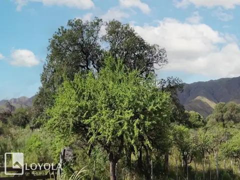 Terreno en Venta de 1817,0 m2