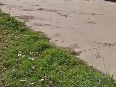 Terreno en Alquiler 30  mts Frente