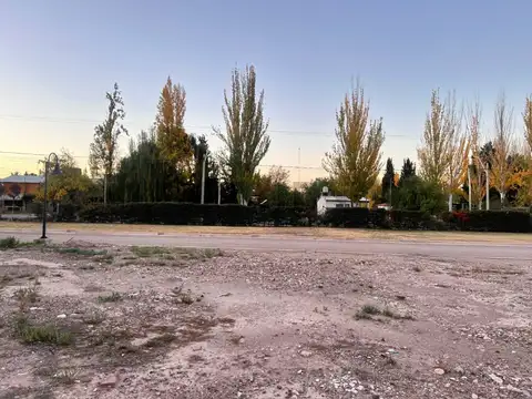 Terreno en Venta 20,50  mts Frente