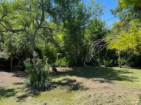 Rio Sarmiento 300