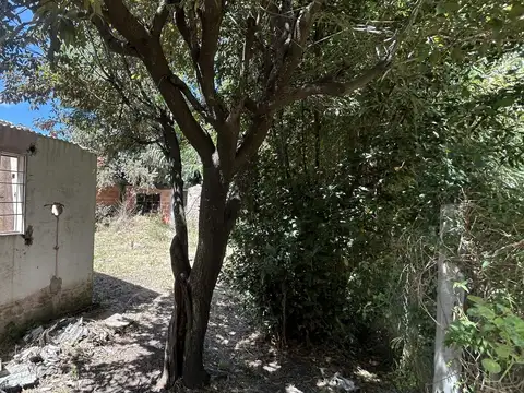 Los fresnos al 2400