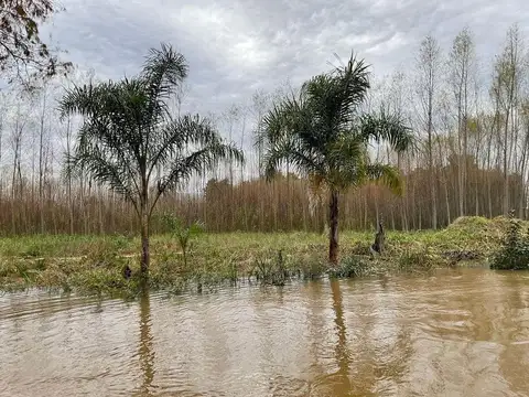 Terreno en Venta en Zona Delta San Fernando, USD 500.000