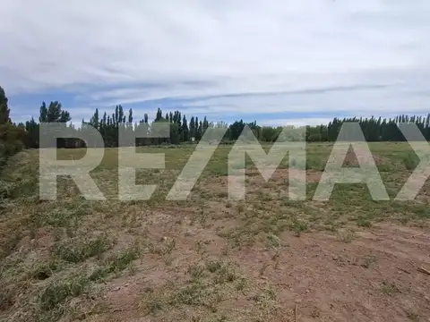 Terreno en Venta de 200,0 m2