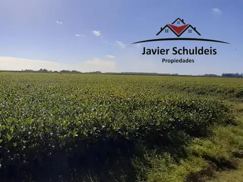 24 has agrícolas, con arboleda. Excelentes!!