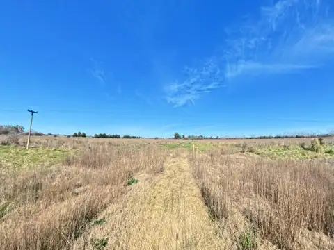 VENTA DE CAMPO
