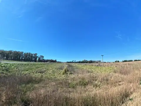 Campo en Venta de 21  ha