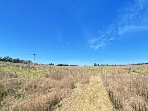 Ruta Provincial 41