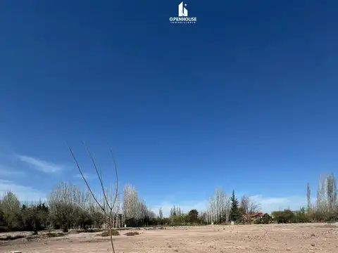 Terreno en Venta en Lujan De Cuyo, USD 70.000