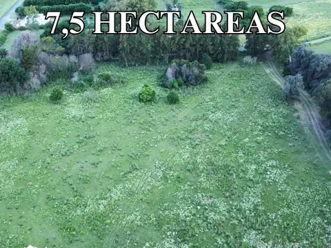 Campo en Venta de 7,50  ha