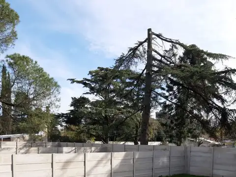 Bolivia entre  Juan XXIII y Leopoldo Lugones