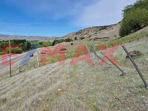 lote 19 sección XXXIII