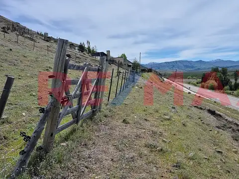 lote 19 sección XXXIII