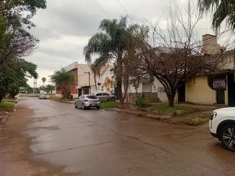 Arbo y Blanco 100