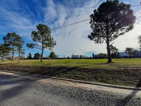 Los Enriques  - 31 a 133 y 482 a 484 - J. Gorina - FINANCIACIÓN