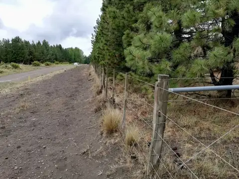 Campo en Venta con Alambrado