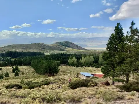 Precioso campo de 4 hectáreas, a tan solo 15 km de San Carlos de Bariloche.