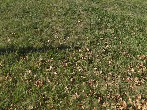 Terreno en Venta 14  mts Frente