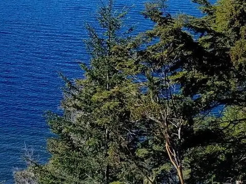 Lote Lago Correntoso - Cacique Antriau