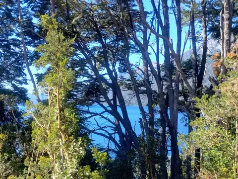 Excelente lote en lago Correntoso