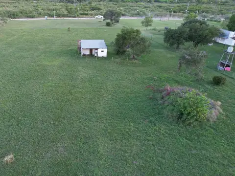 Primeros Colonos entre Inmigrantes y Hoffman