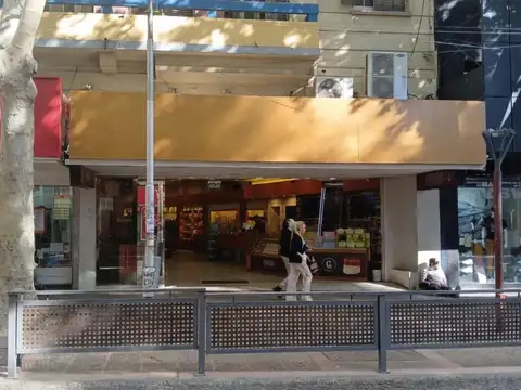 LOCAL COMERCIAL EN AVENIDA SAN MARTIN