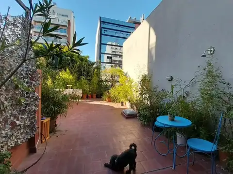 Venta PH 6 Ambientes con Terraza Colegiales