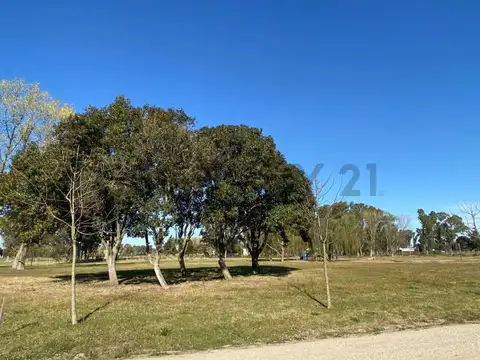 Terreno en Venta de 793,0 m2