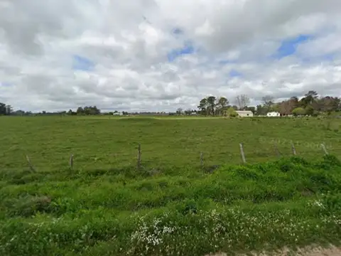 Campo de 3,5 ha c/ Casa en Alquiler en San Vicente