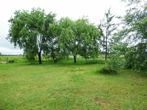 Campo de 3,5 ha c/ Casa en Alquiler en San Vicente