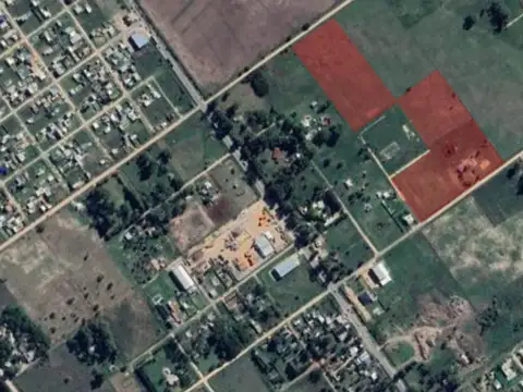 Campo de 3,5 ha c/ Casa en Alquiler en San Vicente