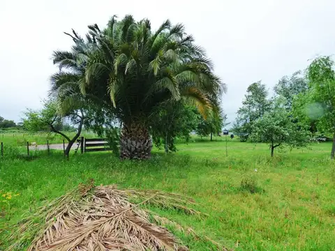 Campo de 3,5 ha c/ Casa en Alquiler en San Vicente