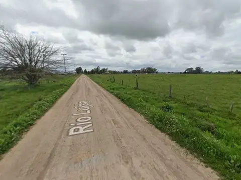 Campo de 3,5 ha c/ Casa en Alquiler en San Vicente