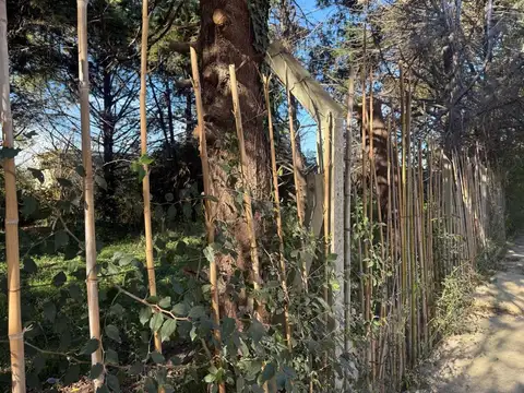 Terreno en Venta de 300,0 m2