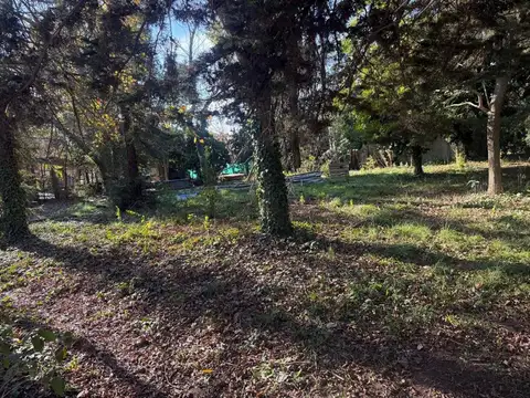 Terreno en Venta de 300,0 m2
