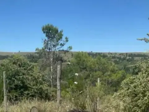 Terreno en Venta de 300,0 m2