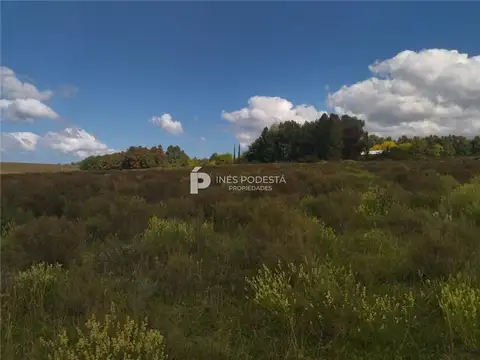 Campo en Venta Chacra