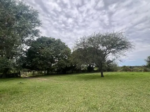 Campo Ganadero 1.134 hectareas Sauce Corrientes