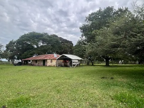Campo Ganadero 1.134 hectareas Sauce Corrientes