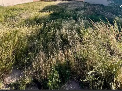 ¡LOTE EN VENTA! Barrio El Manzanar, Cipolletti 