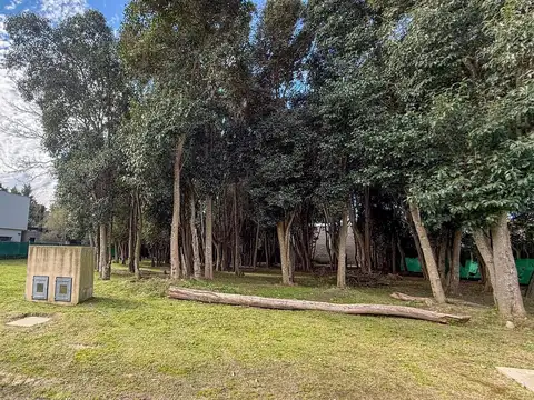 Terreno en Venta en Villa Elisa, USD 60.000